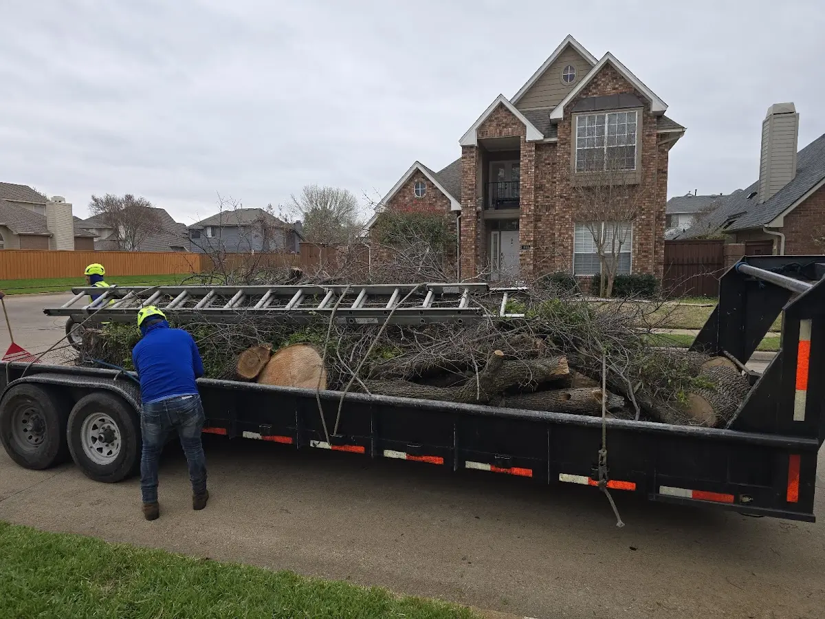 Expert Tree Fertilization with proper safety equipment in Chacon
